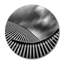 Urban Nautilus Print by DecorumBY-46472081-46472082