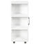 Classeur 3 tiroirs pour rangement de bureau