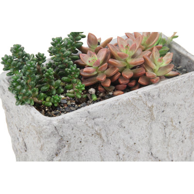 9" Gray Speckle Glaze Cement Indoor Outdoor Rectangular Pot Planter