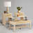 3-piece Modern Farmhouse Living Room Table Set with Lift-top Coffee Table and End Tables