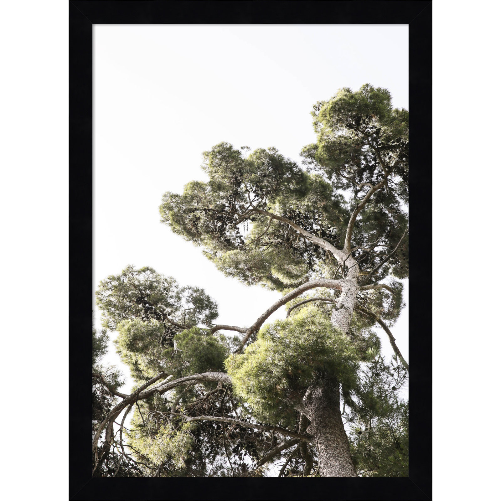 Reshma "Japanese Garden 01" Print, 17" H x 13" W, Black