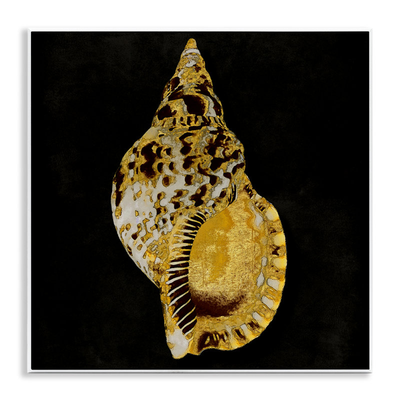 «Gold Conch on Black» par Caroline Kelly