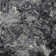 Premium Machine Washable Prisco Black Rug