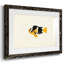 Collection de poissons tropicaux II-1006590453-1006590454