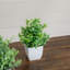 8 po Mini plantes artificielles en pot - ensemble de 4