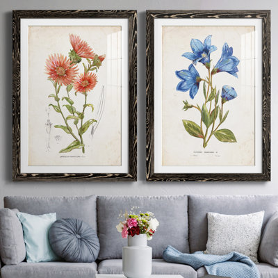 «Botanical I», ensemble de 2 reproductions d'art