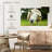 Brampt Nosy Sheep-108869379