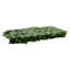 Vidaxl Balcony Screen With Leaves Garden Sunshade Dark Green/Green Multi Sizes-126703961
