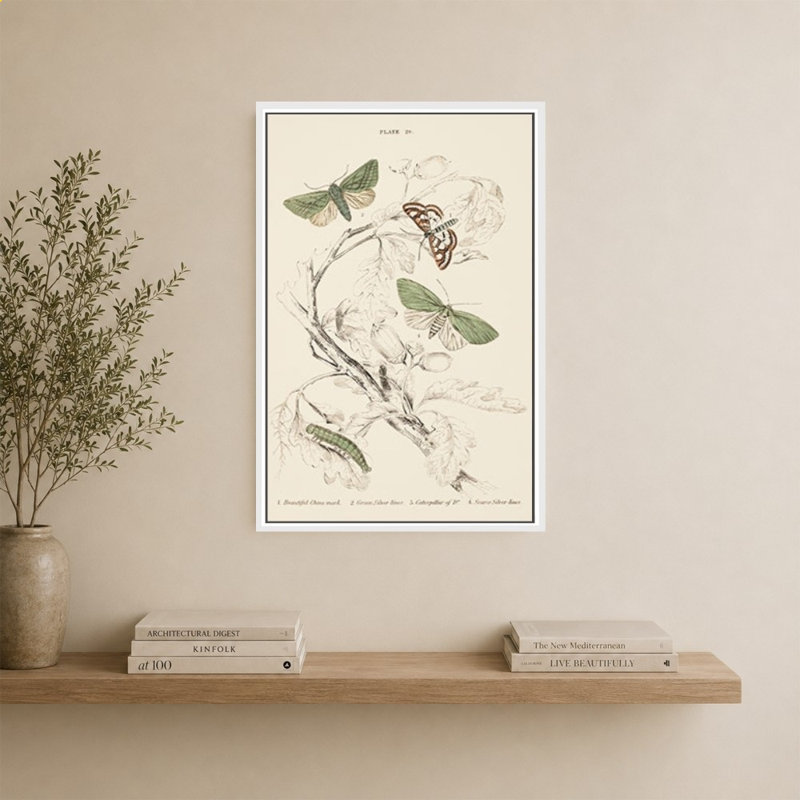 Mariposas I par V. Larkspar - Impression sur toile, H 40 po x l 28 po, Blanc