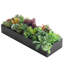 Plante grasse artificielle 3 po en pot