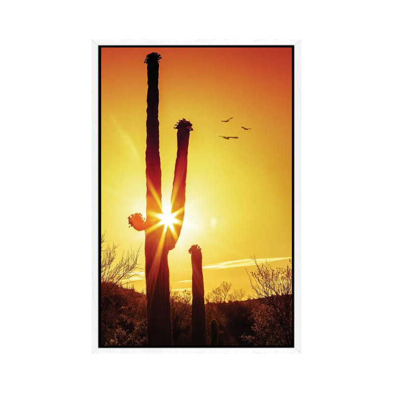 Saguaro Cactus Silhouette At Sunrise by Susan Schmitz - Print on Canvas, White Floater Framed