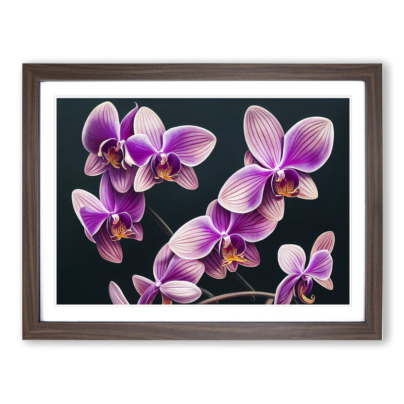 Evolving Orchid Flowers - Framed Print, 46cm H x 64cm W x 2cm D, Walnut