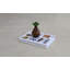 RVT401 SPC Vinyl 5mm Thick 30.8cm W x 60cm L Vinyl