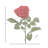 25" Velvet Rose Stem
