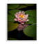 «Lotus Parmi Lily Pads», giclée encadrée, design par Phillip Flowers-1170149631-1170149603