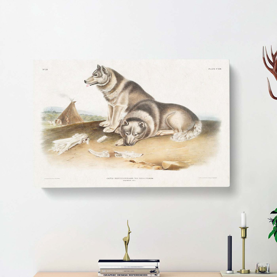 Eskimo Dog by J.W. Audubon - Wrapped Canvas