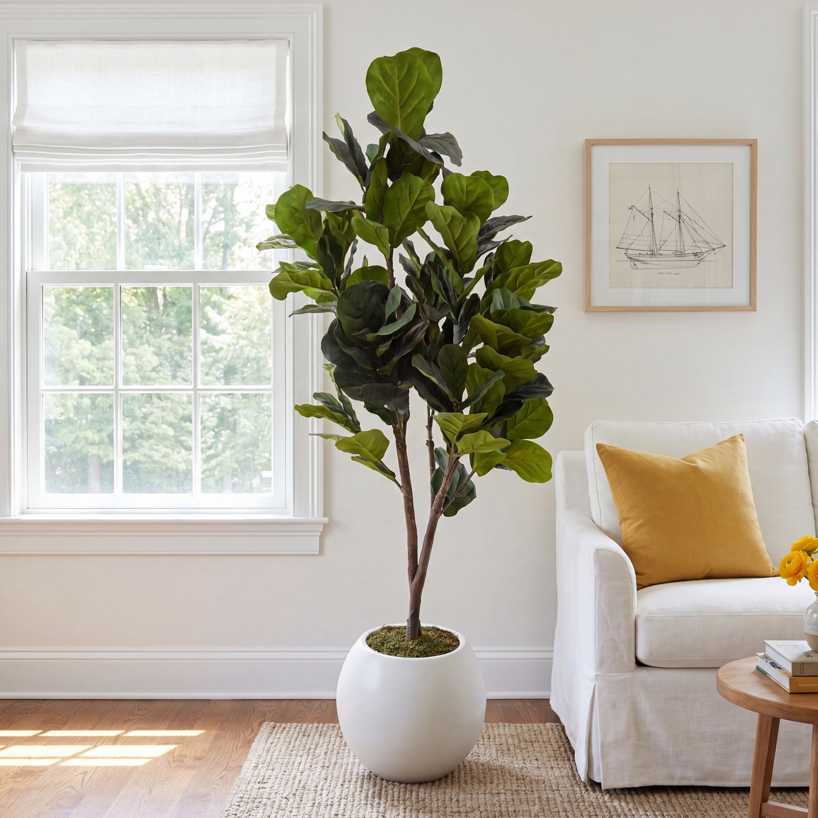 84" Fiddle Leaf Fig Tree in Planter