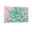Plantes et fleurs, plante grasse, reproduction d'art-1069099284