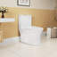 Toilette allongée une pièce à hauteur confort 1,1 / 1,6 GPF