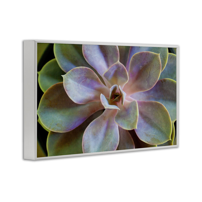 «Giclee Art» par Susan Bryant, Estampe numérique encadrée blanc bord de mer, H 12 po x l 18 po