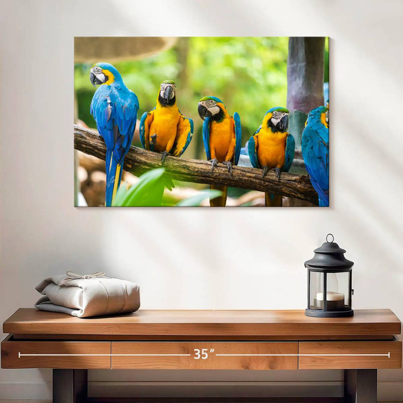 Brampt Macaw Party, 16" H x 24" W