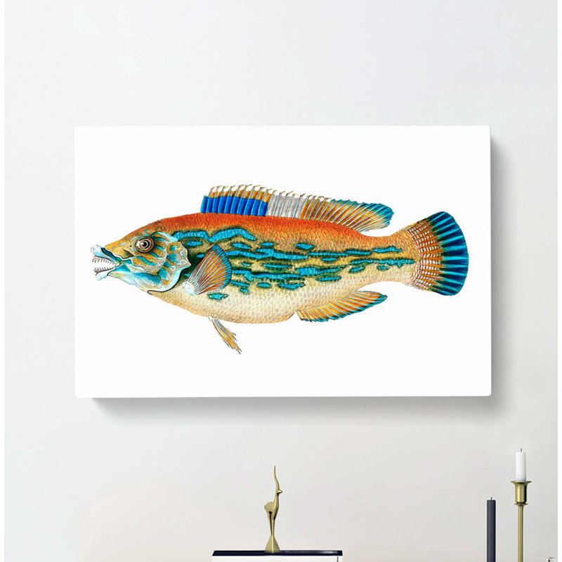 Striped Bass Fish by Edward Donovan - Wrapped Canvas, 35cm H x 50cm W x 3cm D