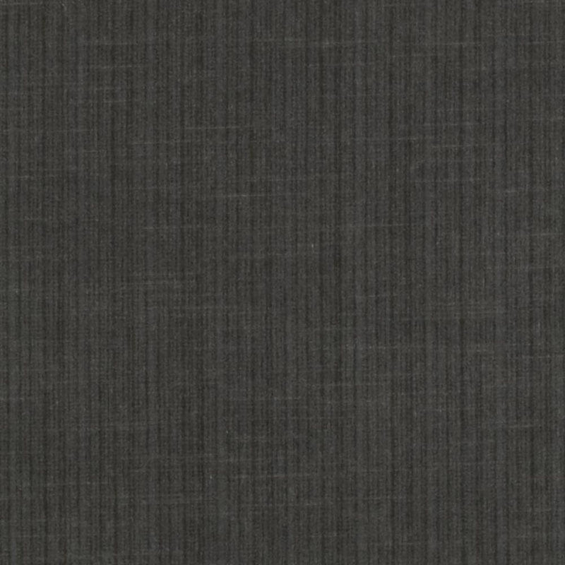 Tissu velours encyclopédique IV, Graphite