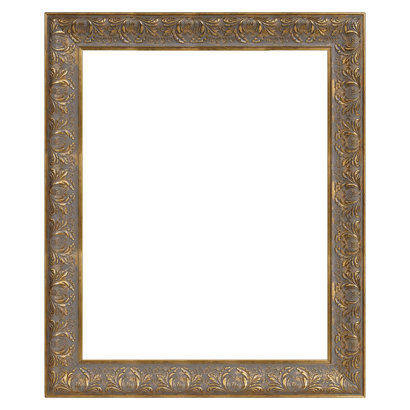 Antique Gold Picture Frame, 16" x 20"