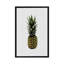 Ananas I - Impression sur toile-29681977-74407245-74407244