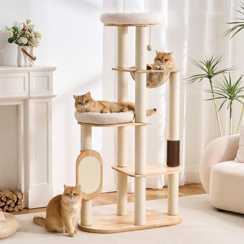 Tour pour arbre à chat moderne avec poteau à griffer pour l'intérieur, tour en bois massif multifonctionnelle pour lit de chat avec lit moelleux, capsule d'espace, planche à gratter en sisal, poteau de toilettage, boule pendante