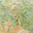 Machine Washable Indoor/Outdoor Lafferty ACN2223 Floral Rug-1224165595