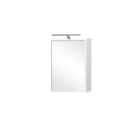 Lankton 43.5mm W 64mm H Surface Framed Medicine Cabinet Mirror 2 Adjustable