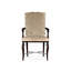 Icarus Upholstered Arm Chair-23515772