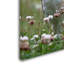 Ann «Owls», reproduction de photo sur toile tendue-24191195