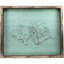 Sealife Print