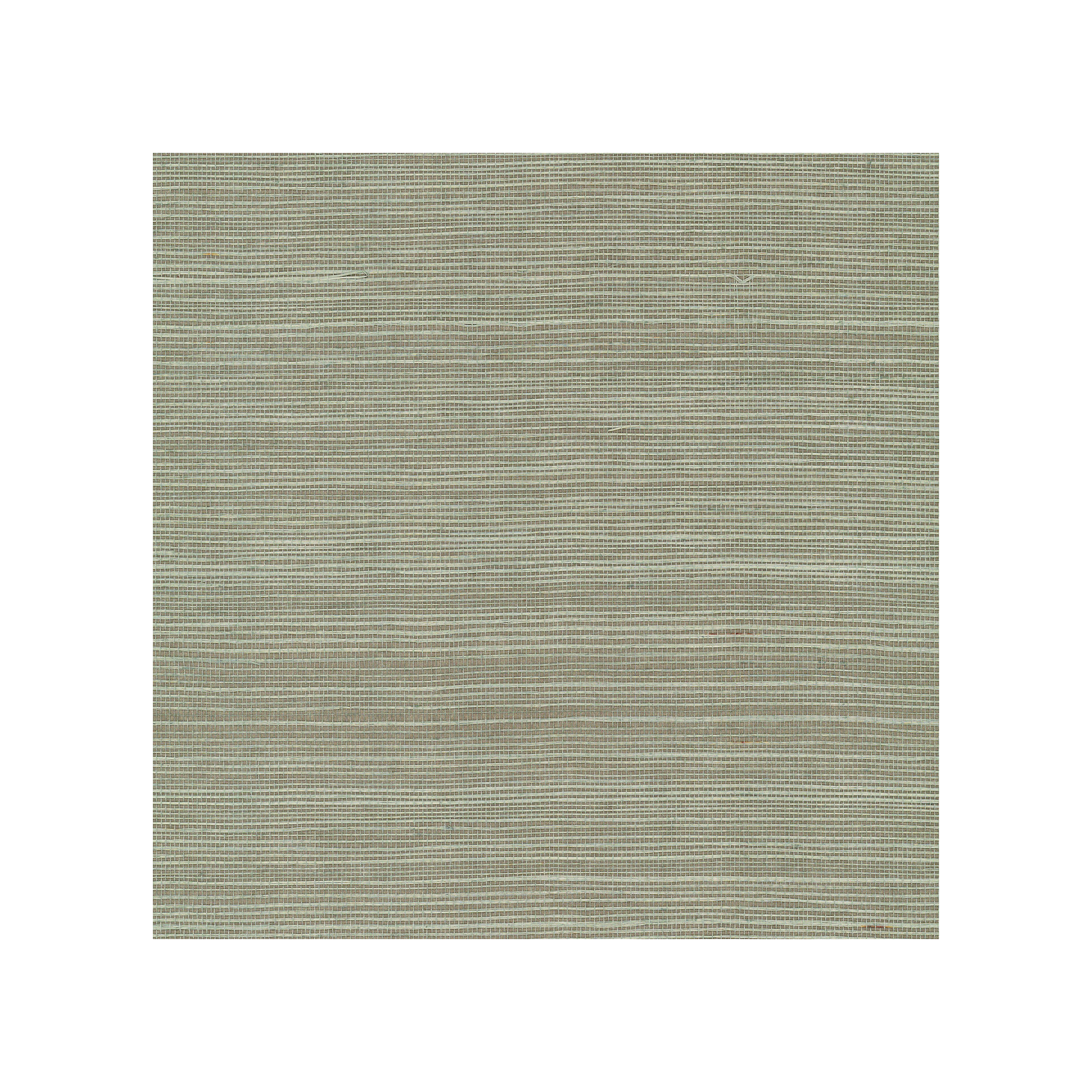 Natural Sisal Peel and Stick Grasscloth Wallpaper, Green
