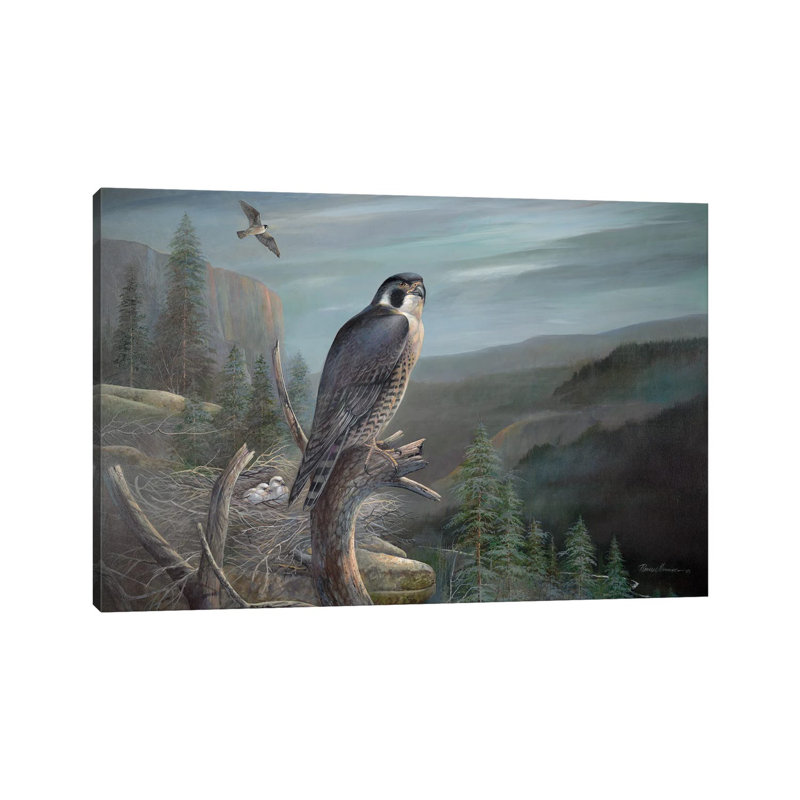 Falcon par Ruane Manning - reproduction d'art, H 8 po x l 12 po x P 0,75 po, Toile tendue, Aucun mat