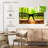 Alcaraz Forest Vision-107676747