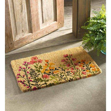 Red Barrel Studio® Indoor Outdoor Doormat Non Slip Dirt Trapper