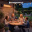 Electric Hanging Patio Heater Patio Heater