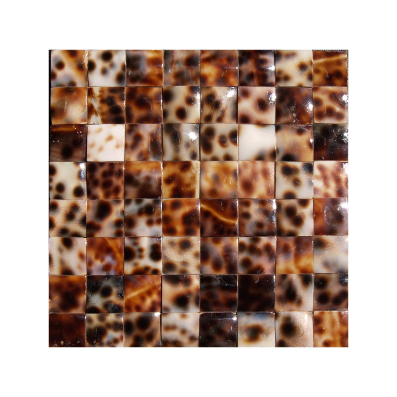 Garniture de tuile bullnose coquille naturelle 12 po x 12 po SeaTile