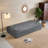 Modern Floor Sofa with 2 Pillows-1601972625-1601972626
