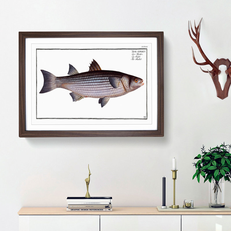 Mullet Fish by M.E. Bloch - Picture Frame Painting Print, Walnut Framed, 27cm H x 36cm W x 2cm D