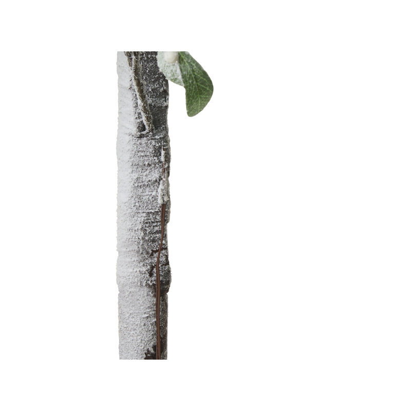 150cm Plant