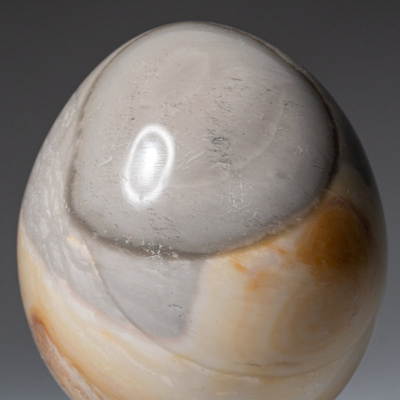Véritable œuf de jaspe polychrome poli de Madagascar (1,03 lb)