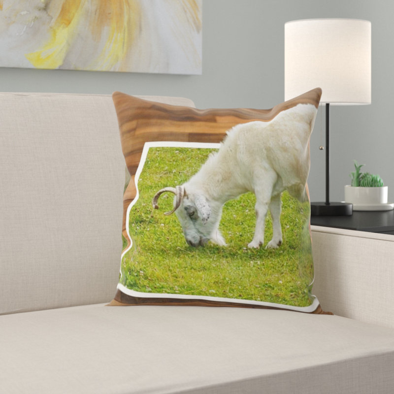 Coussin décoratif image editing