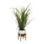 29,1 "plante serpent artificielle en pot