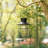 9.75'' Solar Powered Outdoor Lantern Hanging Light