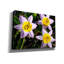 Art mural sur toile Latitude Run® «Flowers Iii» par Epic Portfolio-1078161129