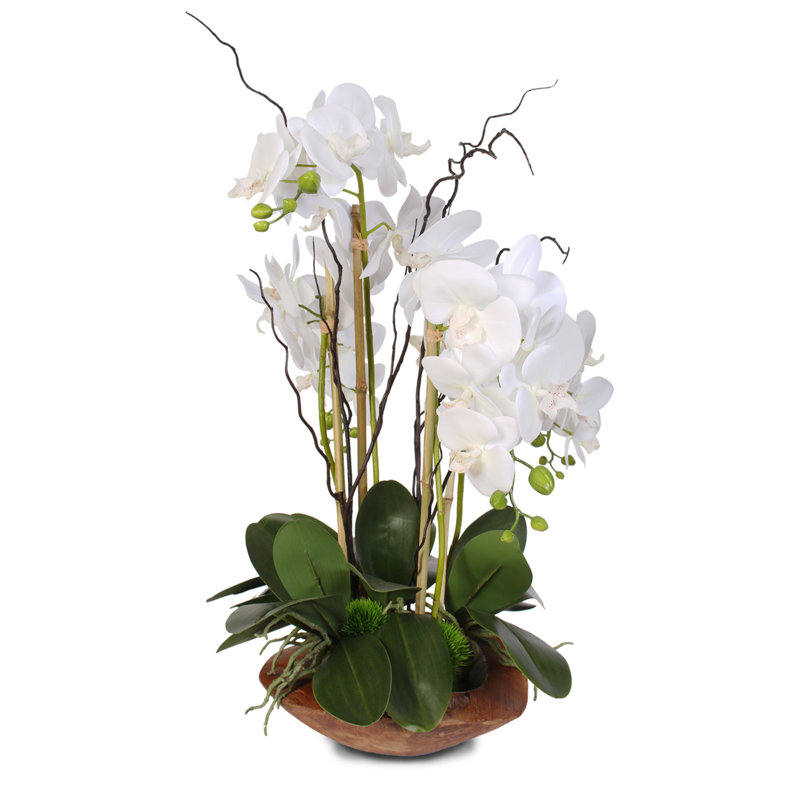 Real Touch Phalaenopsis Silk Orchid Floral Arrangement with Curly Willow